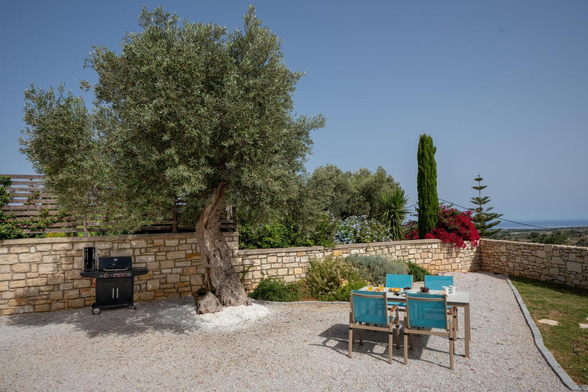 Villa Vasiliki Private Pool Erfoi Buitenkant foto