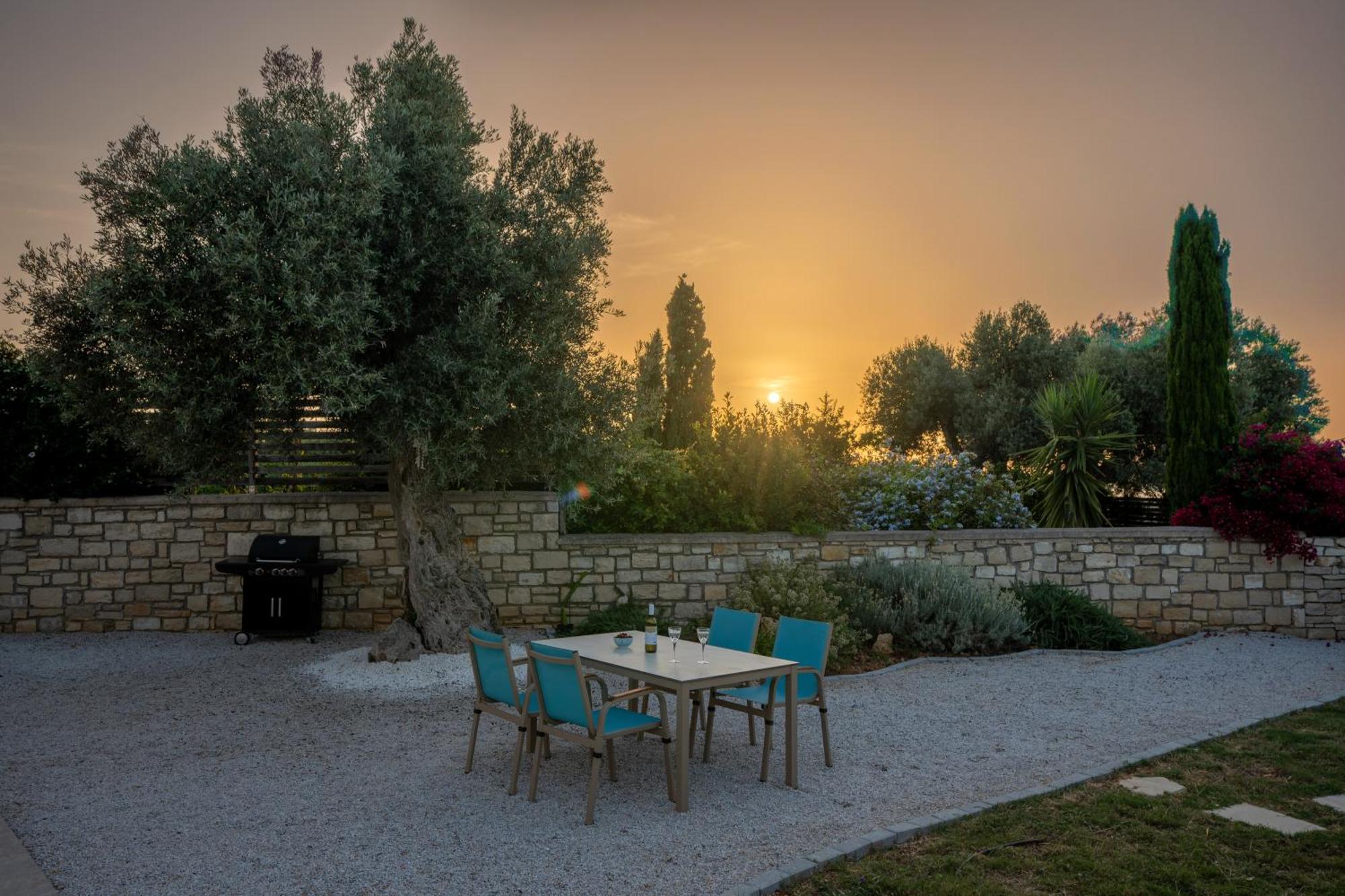 Villa Vasiliki Private Pool Erfoi Buitenkant foto